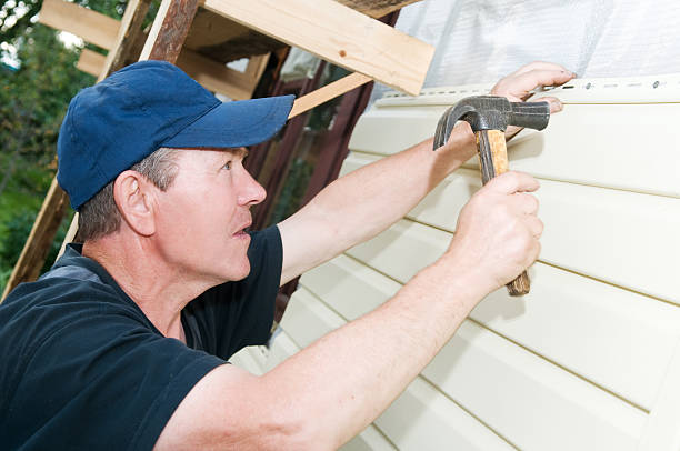 Best Insulated Siding Installation  in Mount Vernon, AL