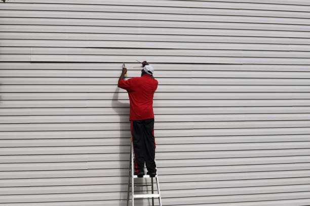 Best Siding Painting and Refinishing  in Mount Vernon, AL