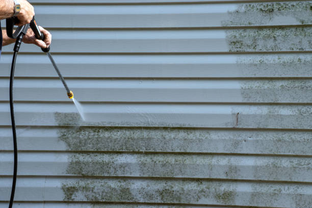 Best Storm Damage Siding Repair  in Mount Vernon, AL