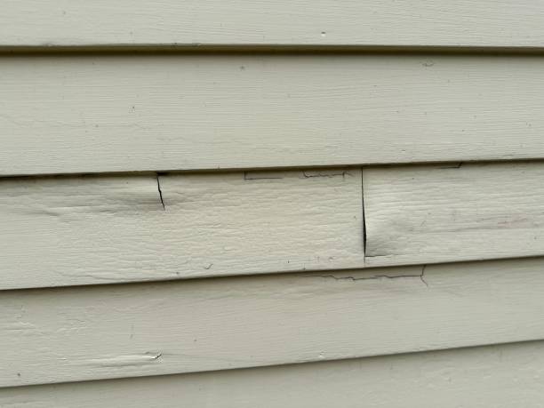 Best Custom Trim and Detailing for Siding  in Mount Vernon, AL
